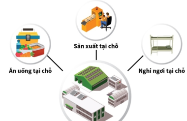 HƯỚNG DẪN MỘT SỐ VƯỚNG MẮC KHI THỰC HIỆN “3 TẠI CHỖ” Ở DOANH NGHIỆP