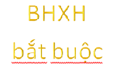 Các đối tượng không phải tham gia BHXH bắt buộc